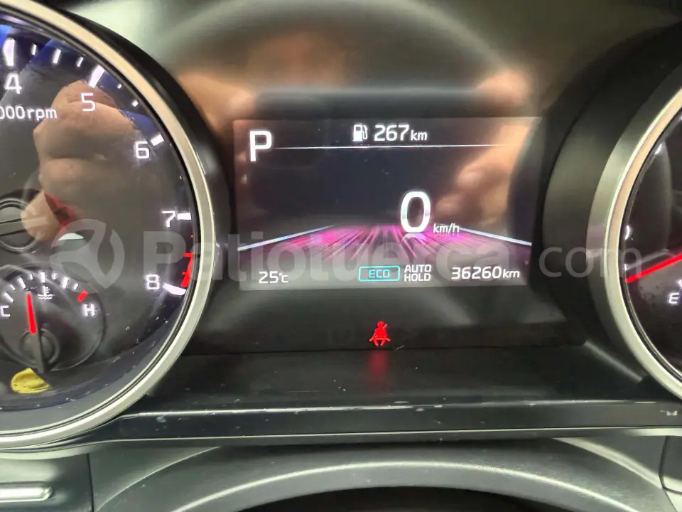 Foto 11 de Kia Carnival