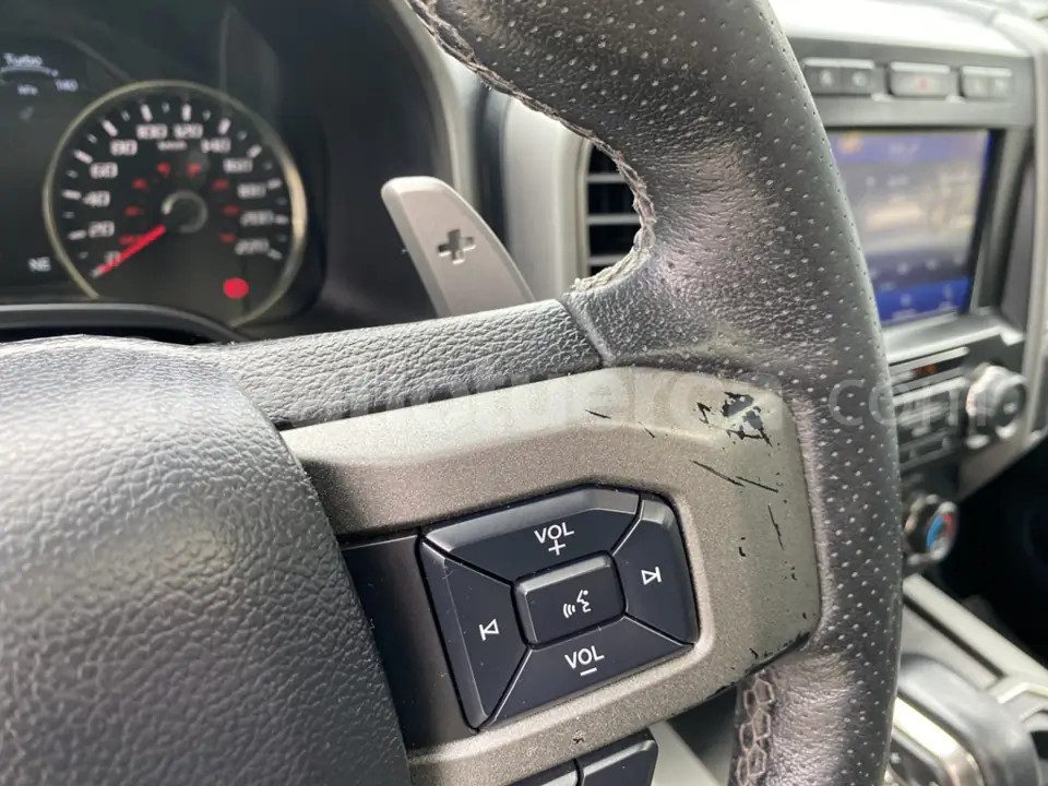 Foto 17 de Ford F150 Raptor AC