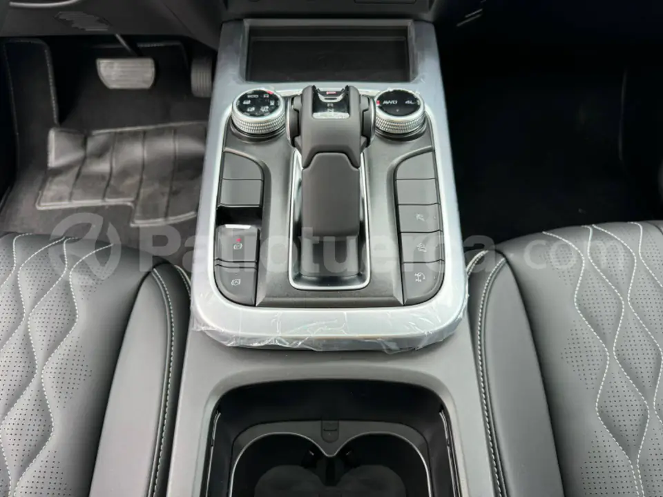 Foto 9 de GWM Tank 300