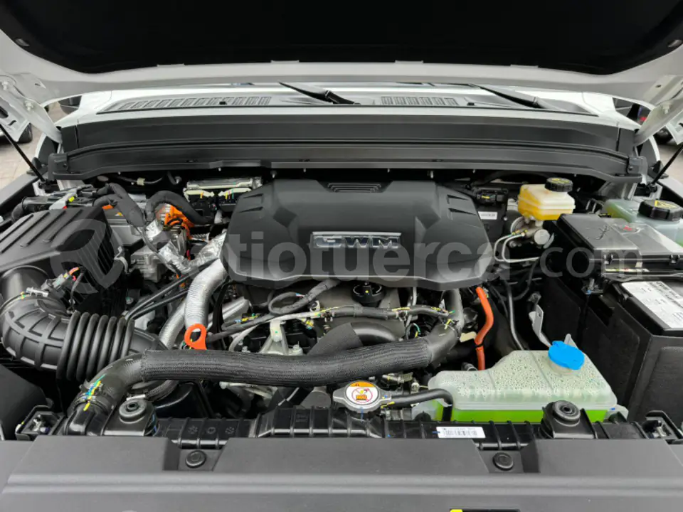 Foto 15 de GWM Tank 300