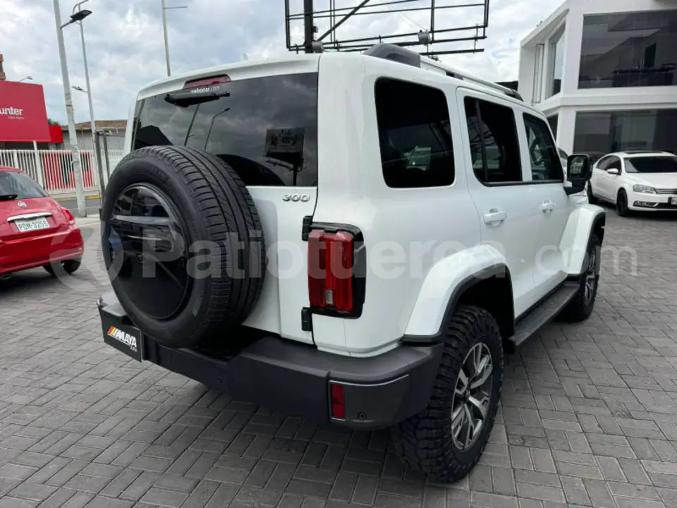 Foto 17 de GWM Tank 300