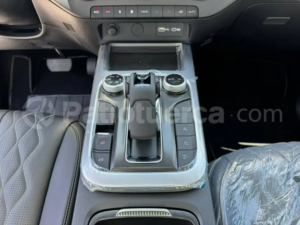 Foto 9 de GWM Tank 300