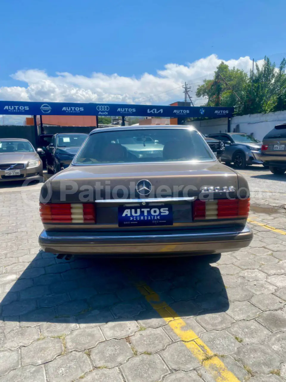 Foto 7 de Mercedes Benz 300SE