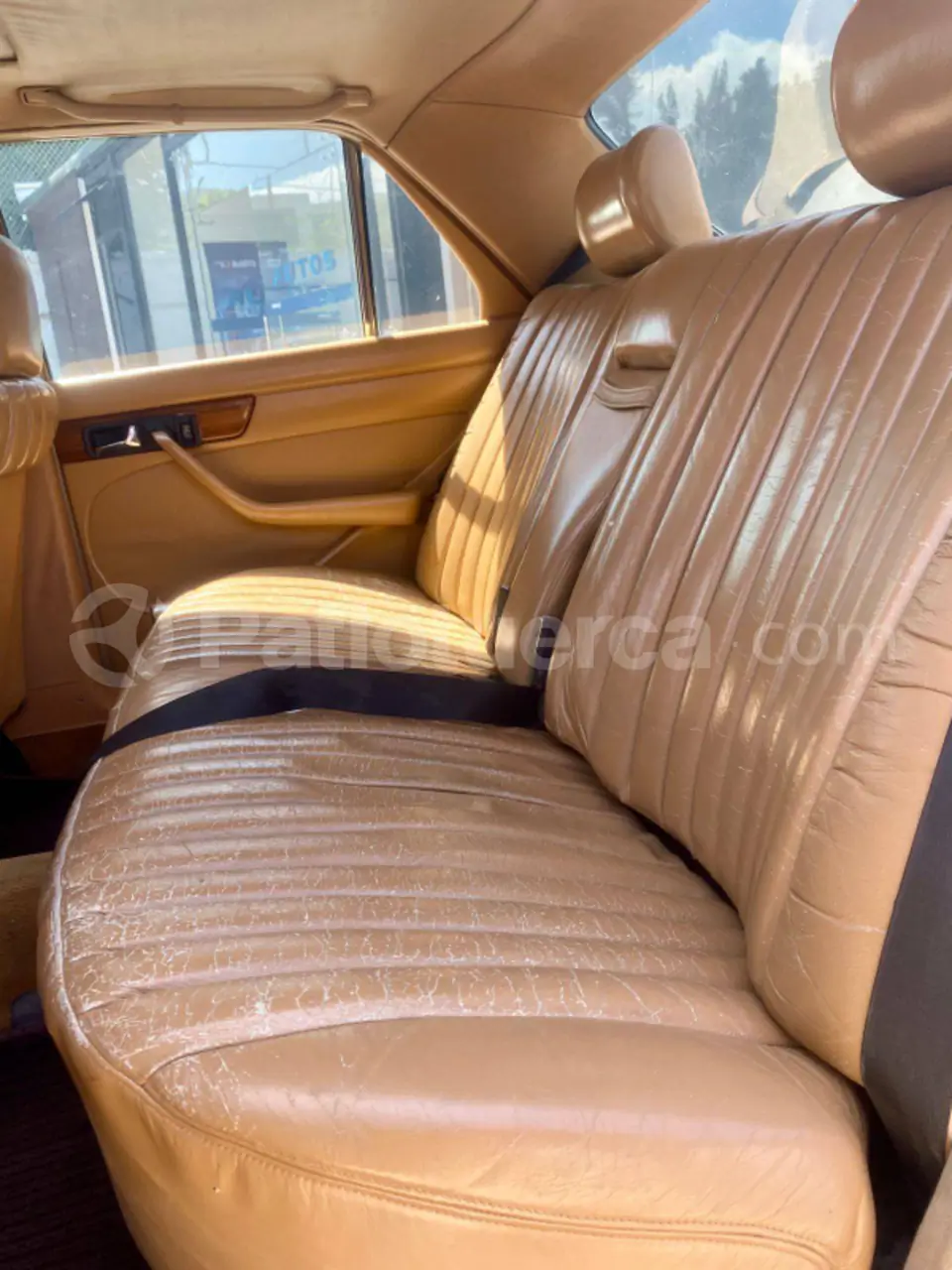 Foto 10 de Mercedes Benz 300SE