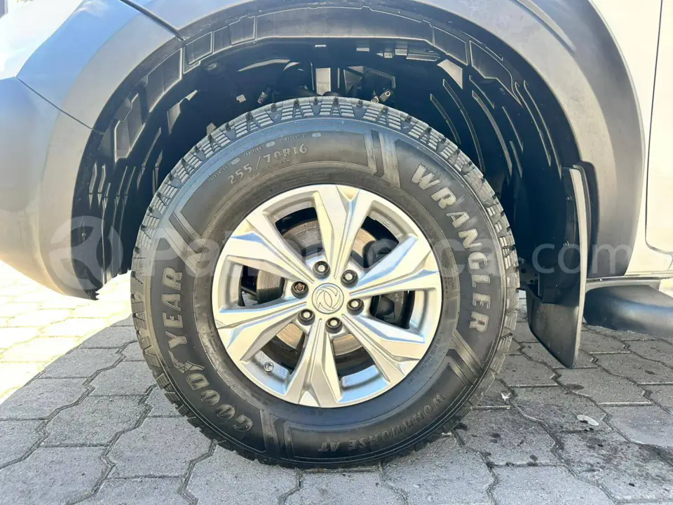 Foto 8 de DongFeng RICH 6