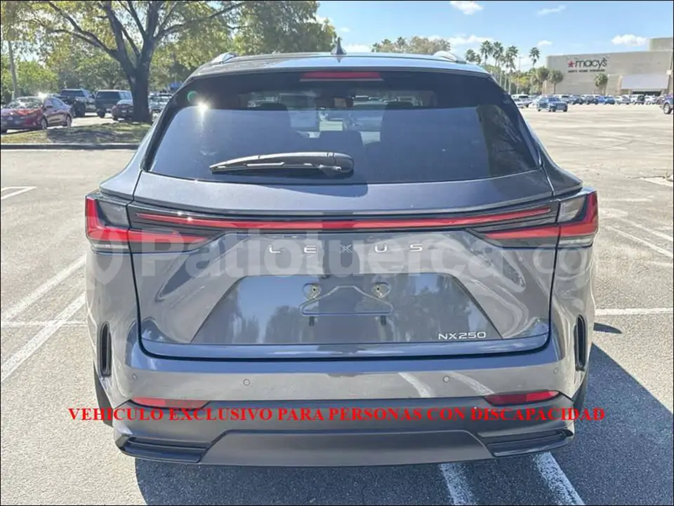 Foto 13 de Lexus NX 250