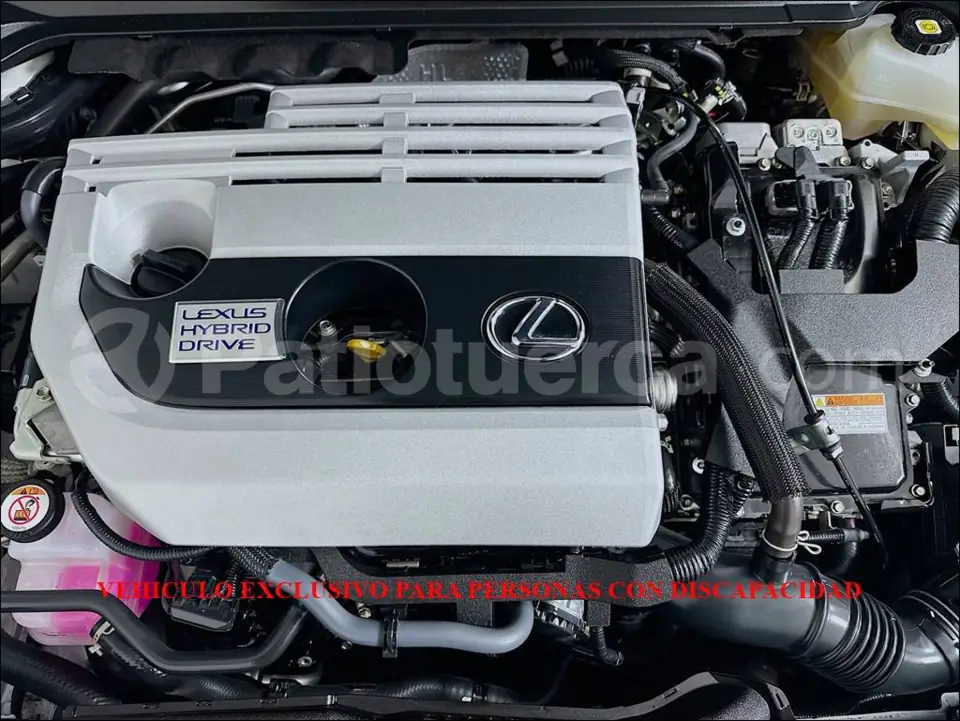 Foto 34 de Lexus UX 250H