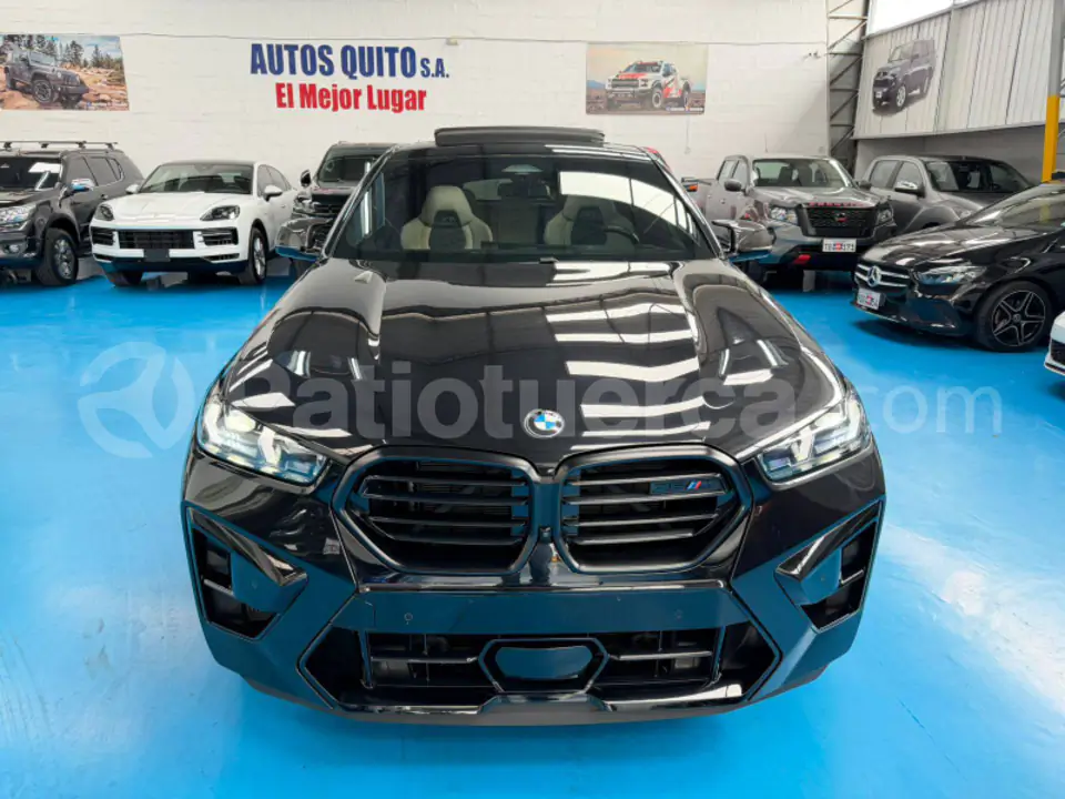 Foto 8 de BMW X6 M