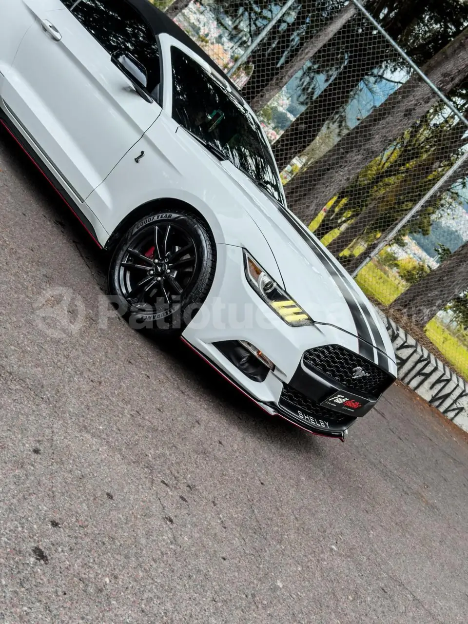 Foto 3 de Ford Mustang