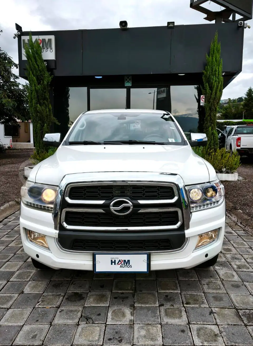 Foto 1 de ZX AUTO TERRALORD HEAVY