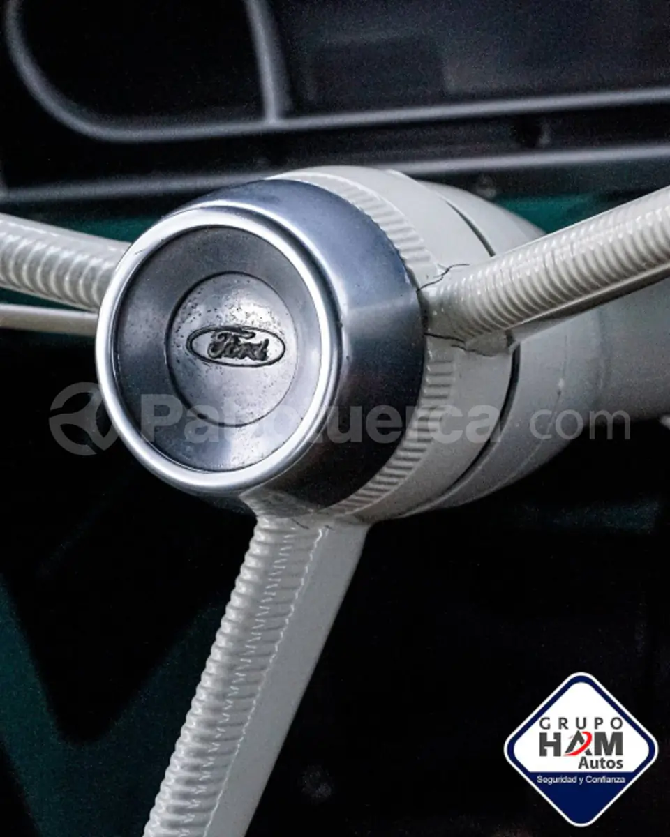 Foto 20 de Ford F100