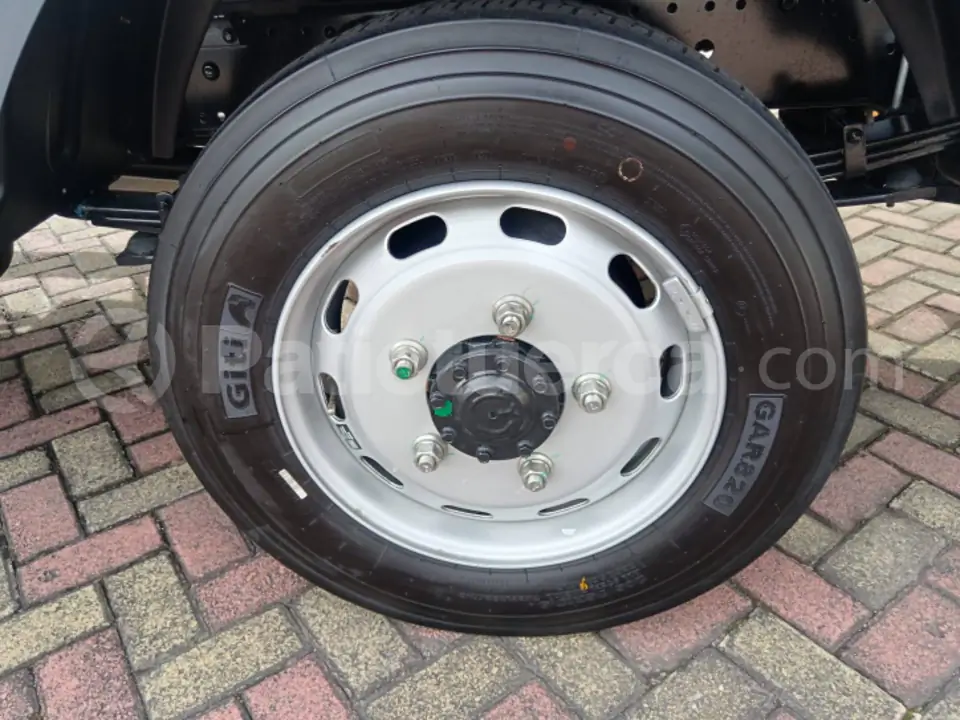 Foto 14 de Foton Miler