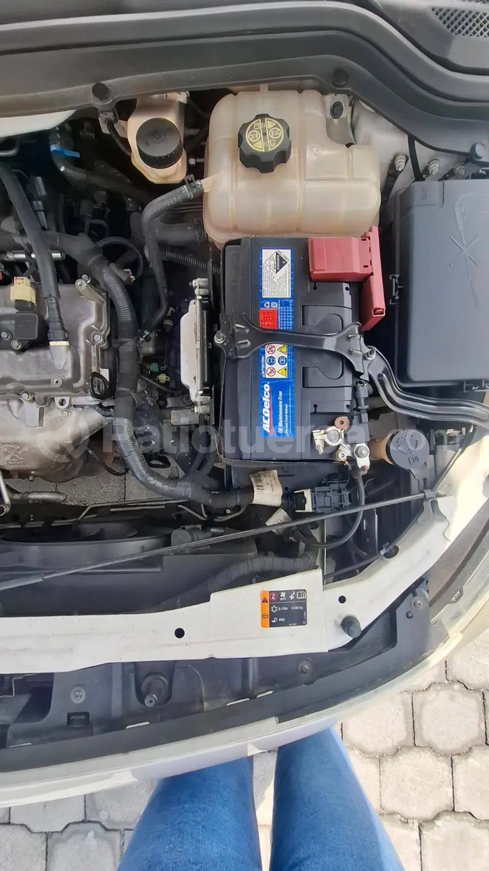 Foto 8 de Chevrolet Cavalier