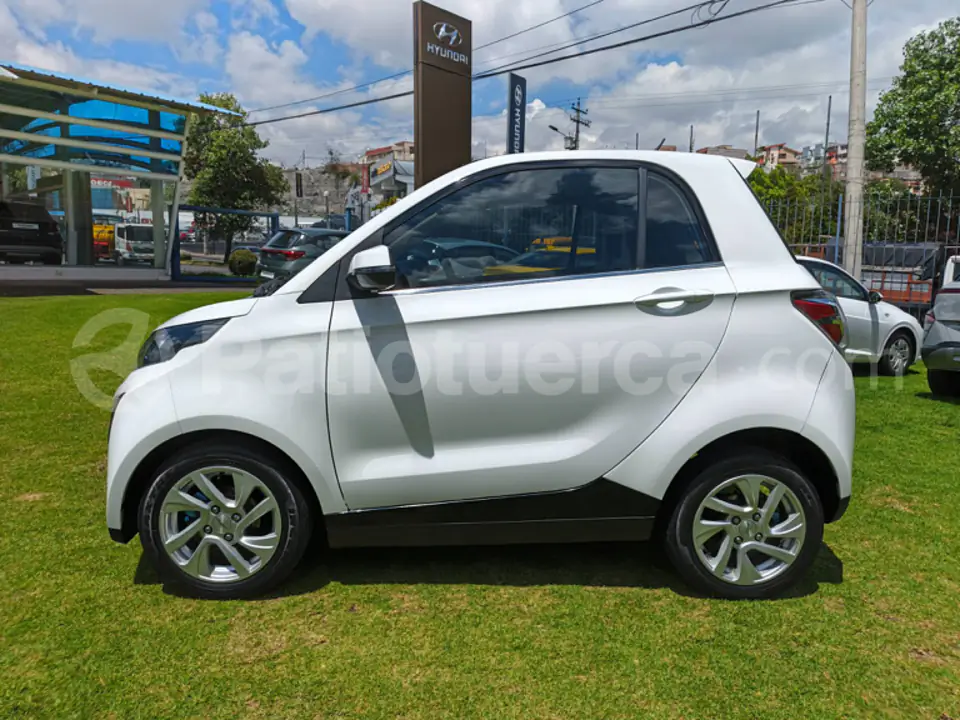 Foto 2 de Domy E30 EV