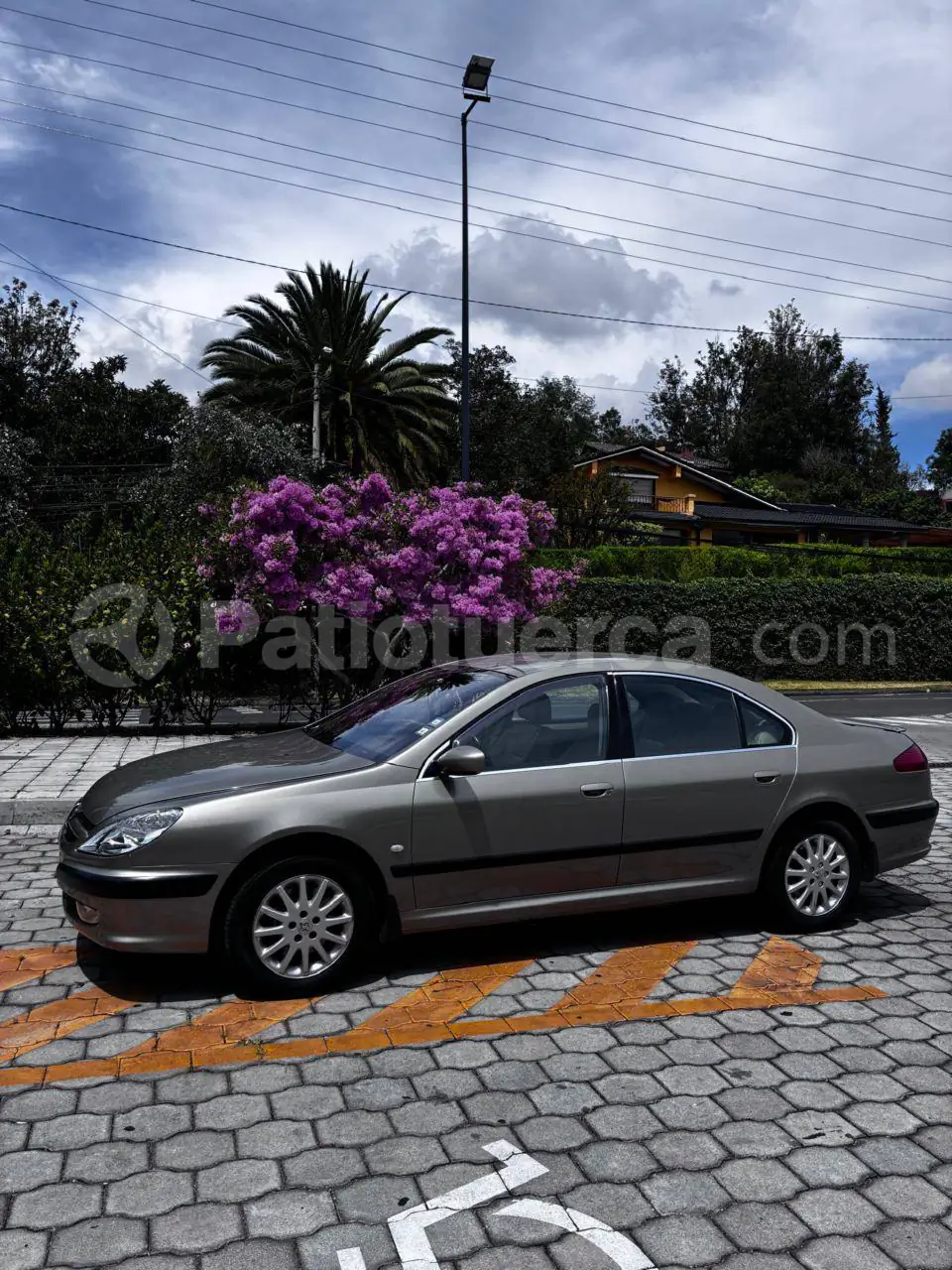 Foto 1 de Peugeot 607