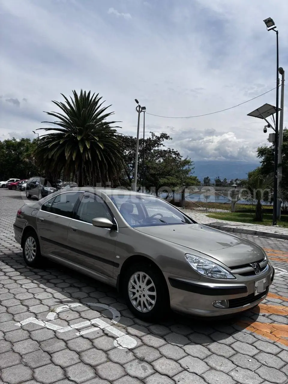 Foto 4 de Peugeot 607