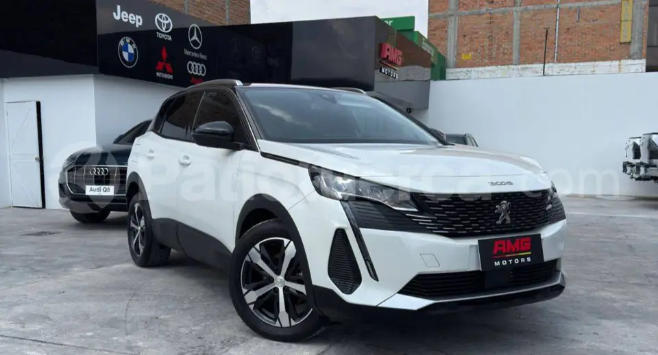 Foto 1 de Peugeot 3008