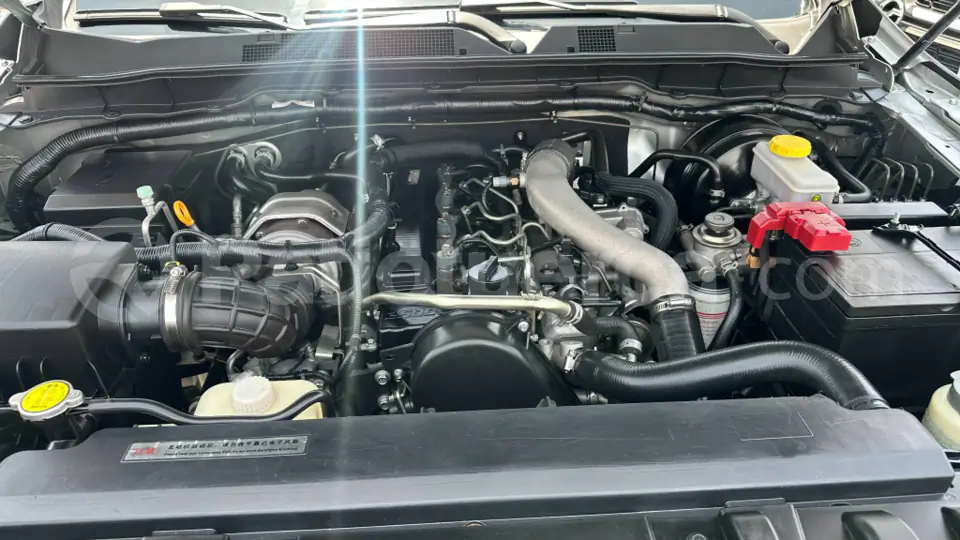 Foto 17 de DongFeng RICH 6