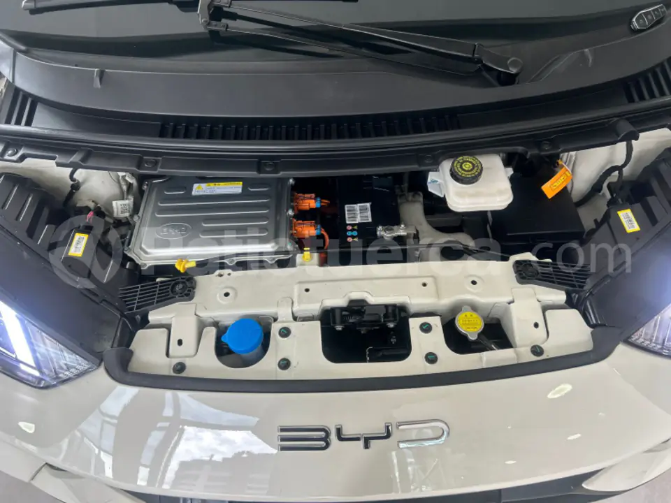 Foto 19 de BYD Seagull