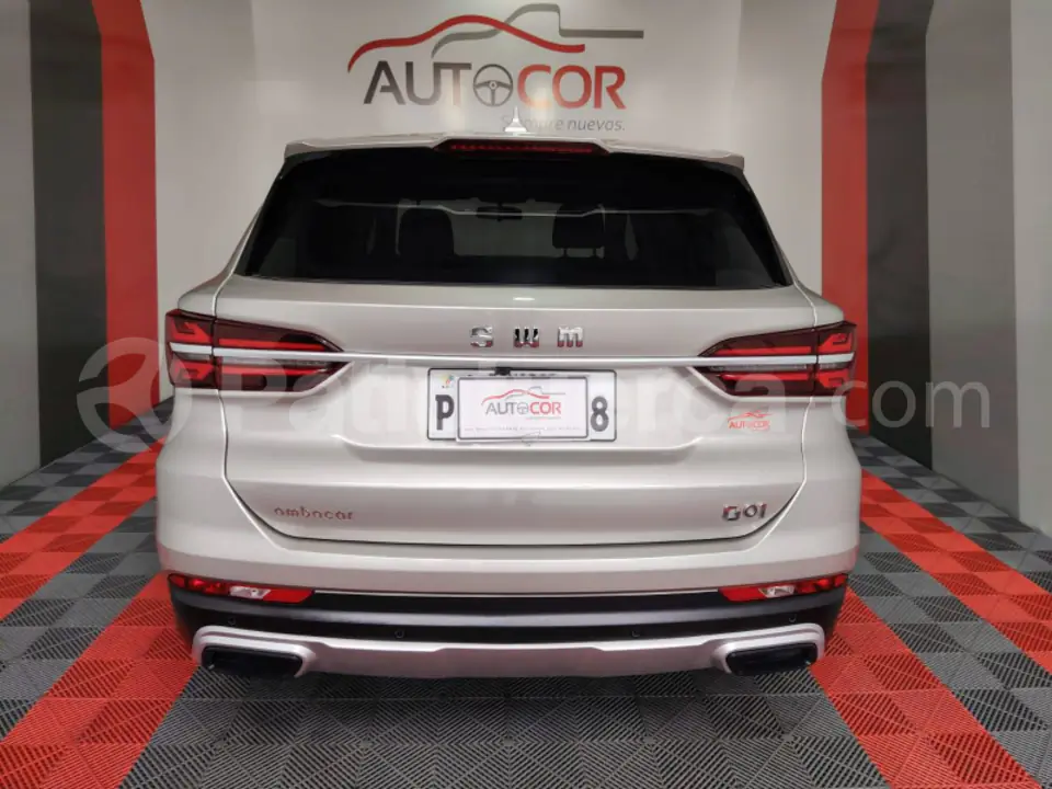 Foto 13 de Shineray SWM G 01 F