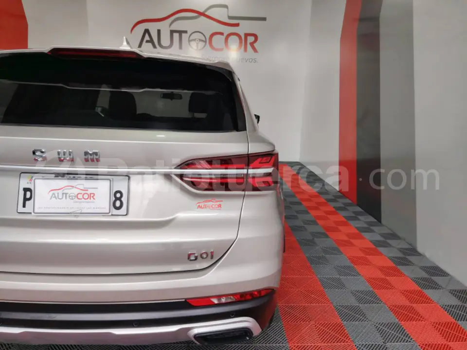 Foto 20 de Shineray SWM G 01 F