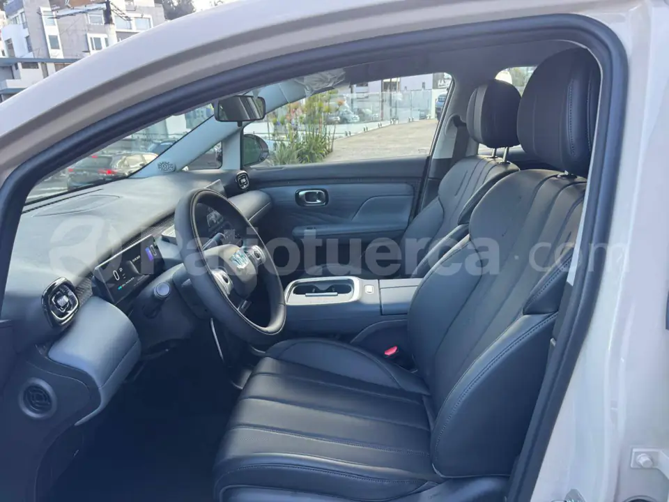 Foto 16 de Gac Aion UT