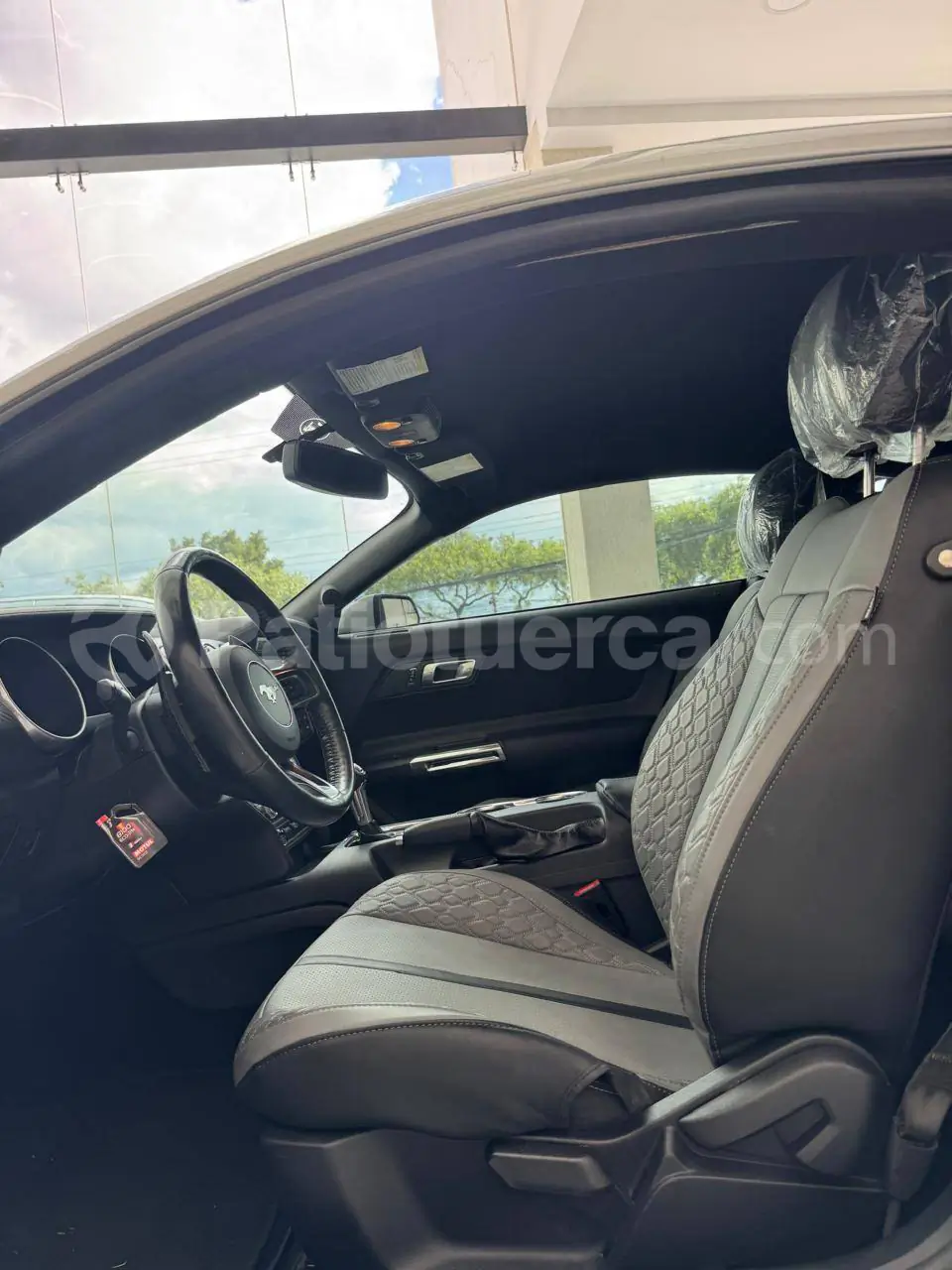 Foto 7 de Ford Mustang GT