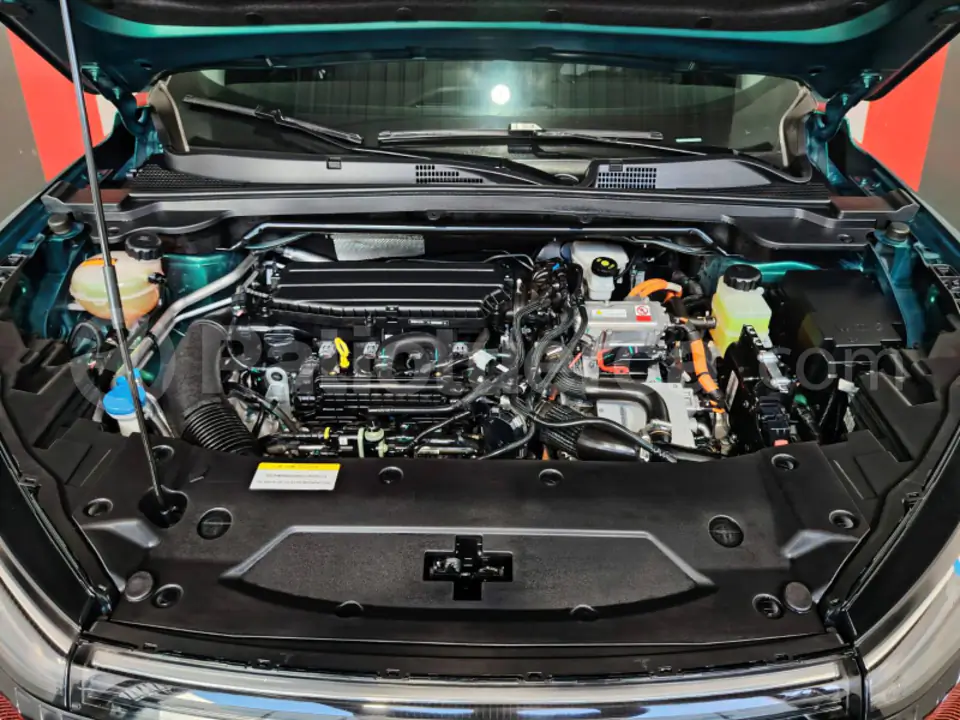 Foto 7 de DongFeng MAGE