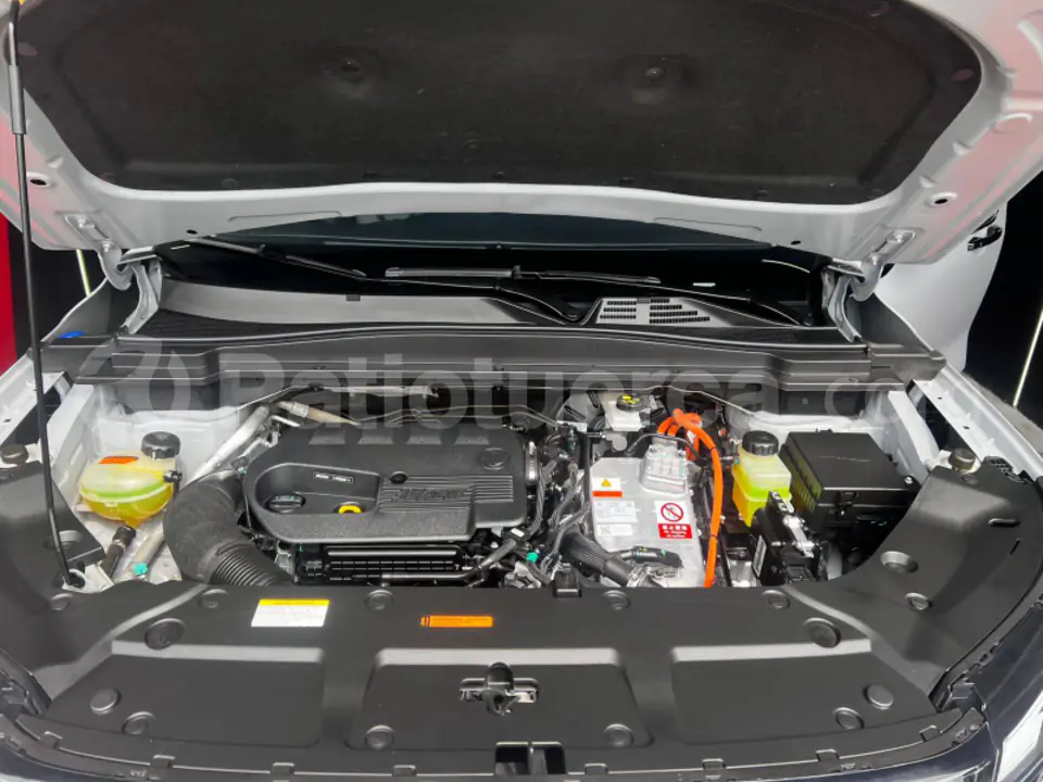 Foto 25 de DongFeng HUGE T