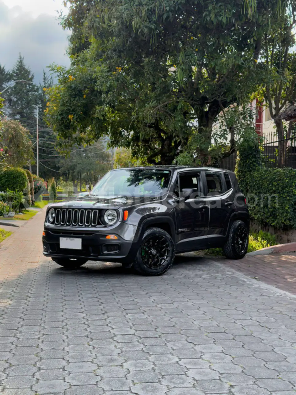 Foto 3 de Jeep Renegade