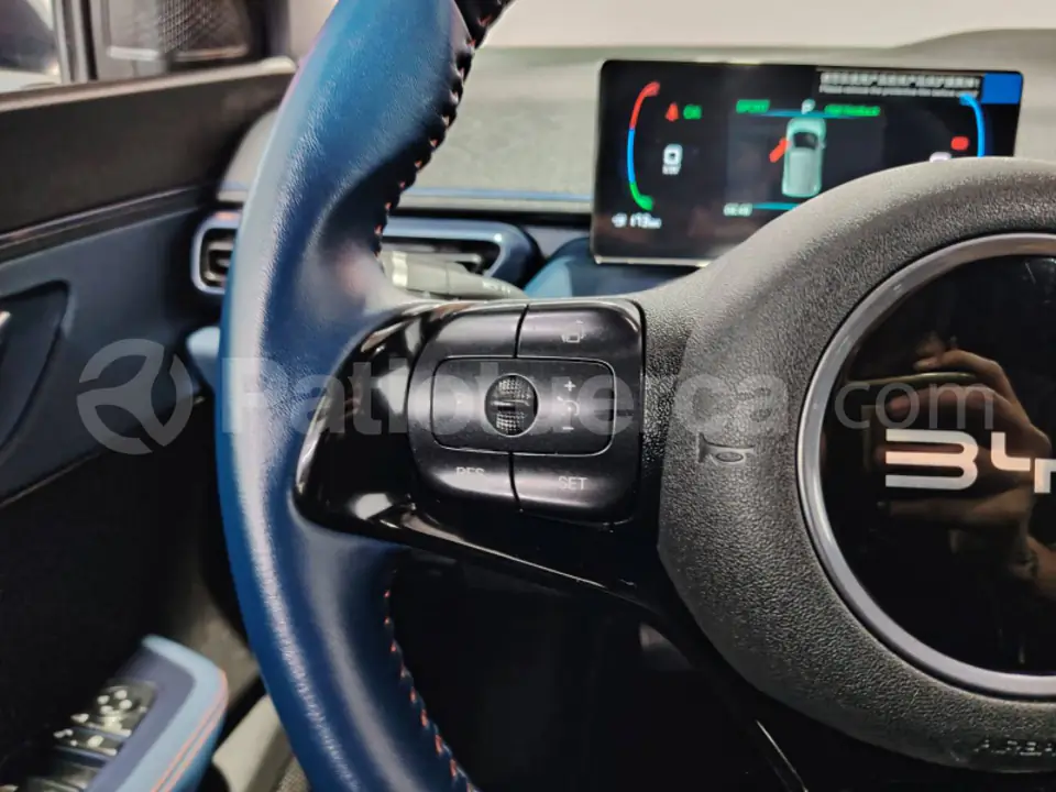 Foto 28 de BYD Seagull