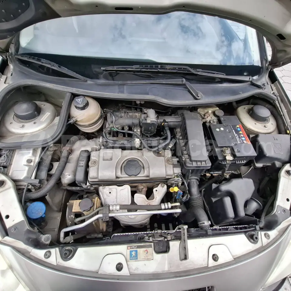 Foto 9 de Peugeot 207 Compact