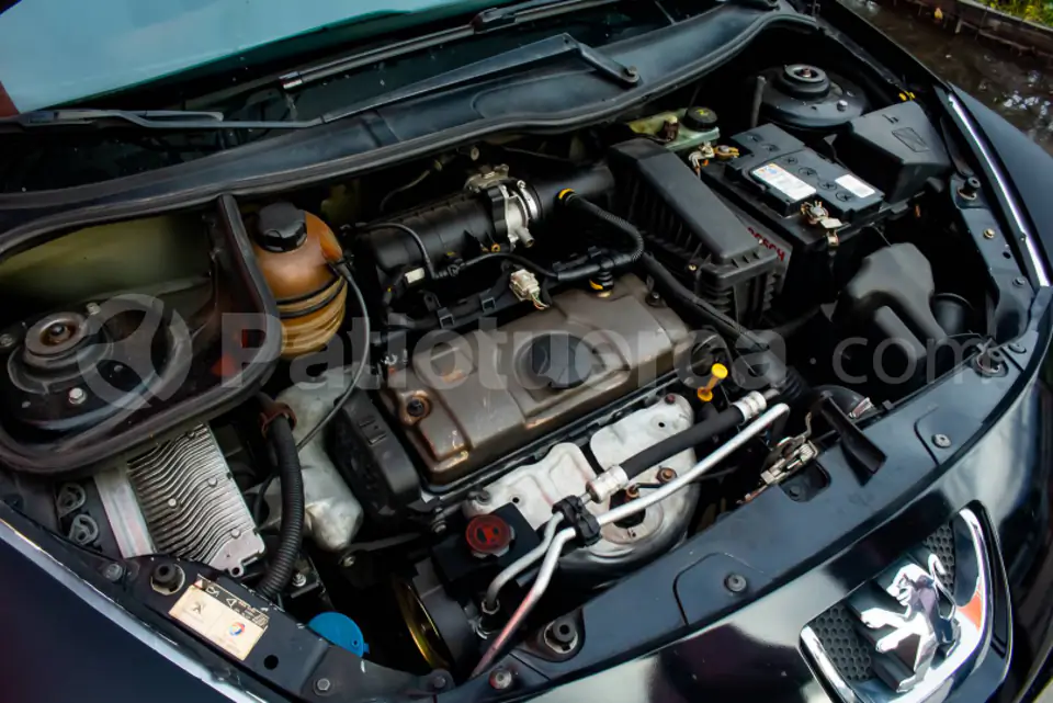 Foto 9 de Peugeot 207 Compact