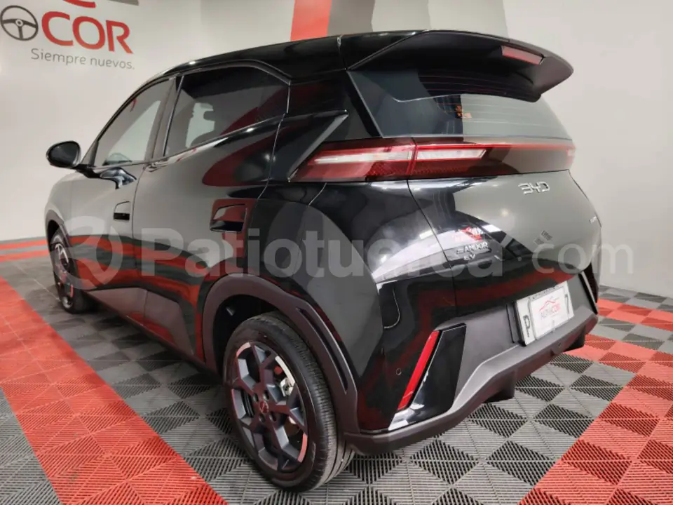 Foto 22 de BYD Seagull