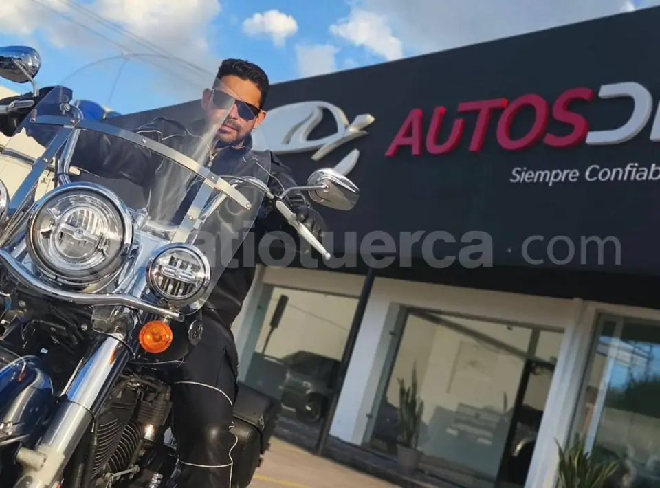 Foto 8 de Harley Davidson Heritage Classic