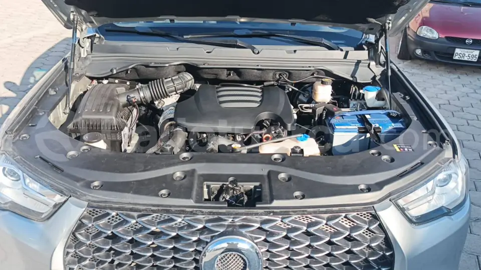 Foto 13 de Great Wall POER