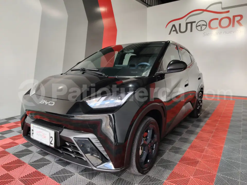 Foto 1 de BYD Seagull