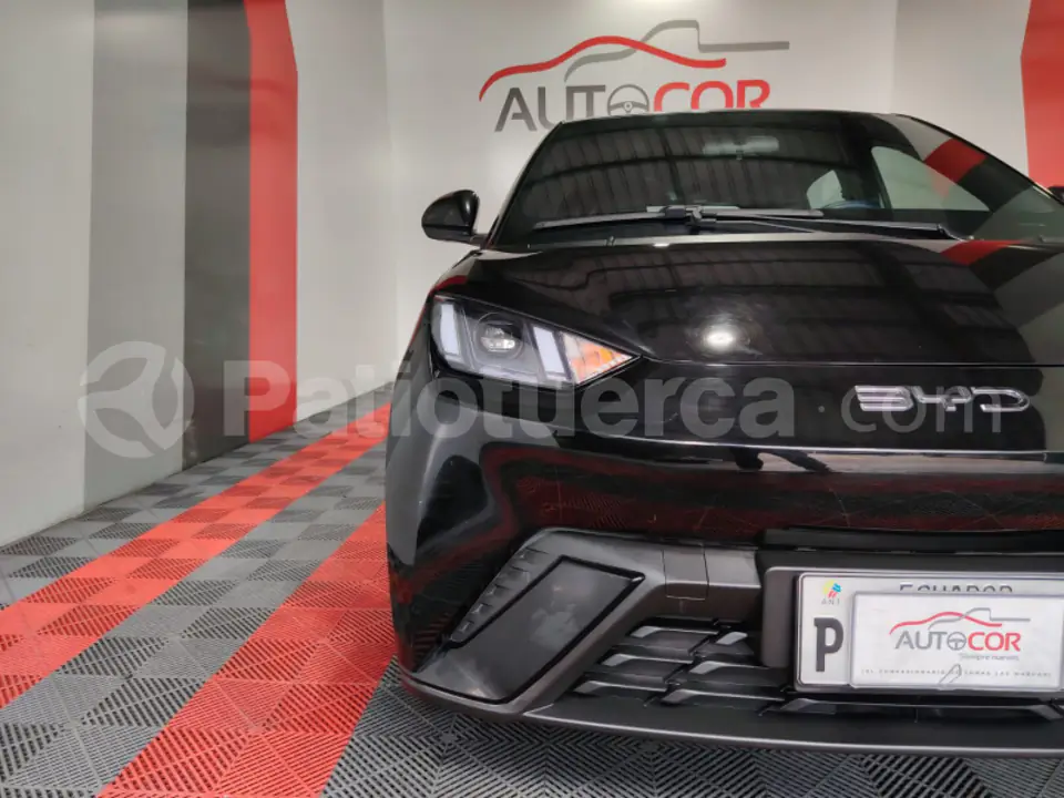 Foto 4 de BYD Seagull