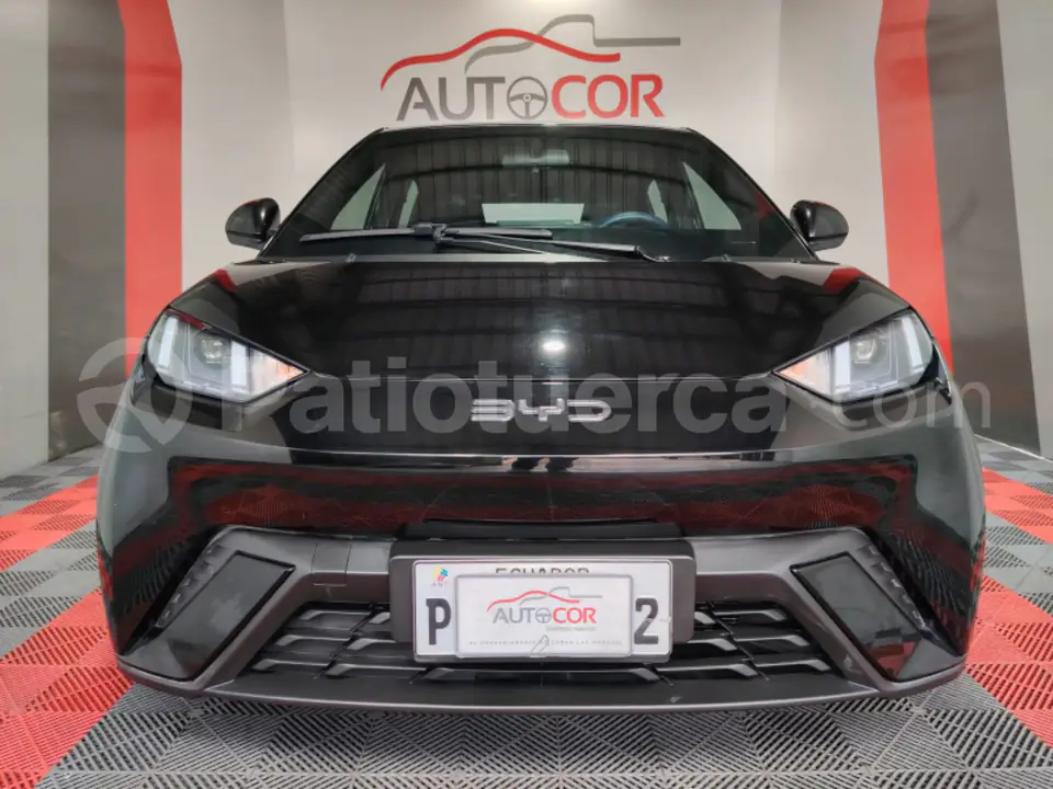 Foto 5 de BYD Seagull