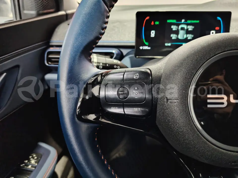 Foto 10 de BYD Seagull