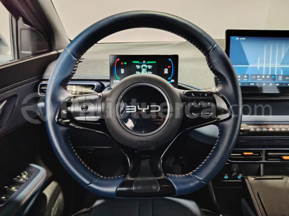 Foto 15 de BYD Seagull