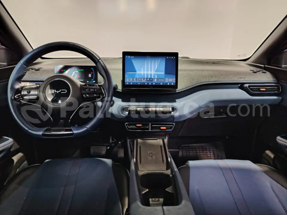 Foto 18 de BYD Seagull