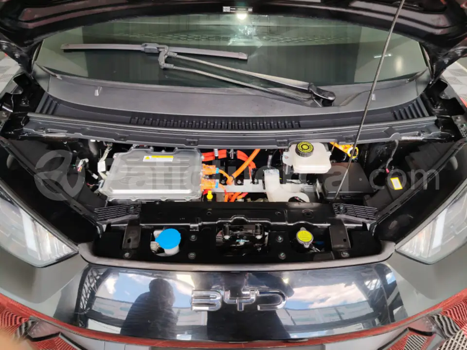 Foto 28 de BYD Seagull