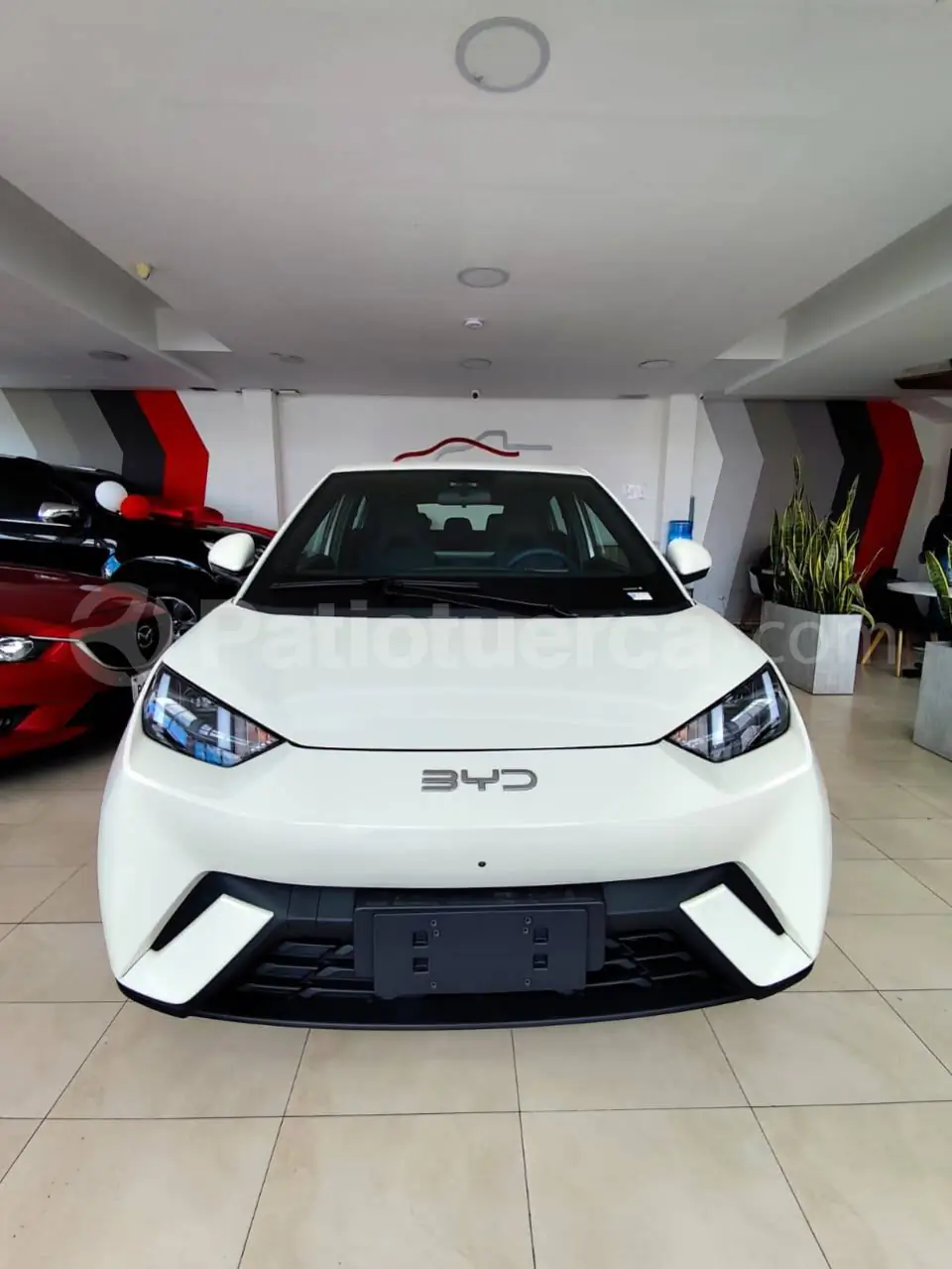 Foto 1 de BYD Seagull