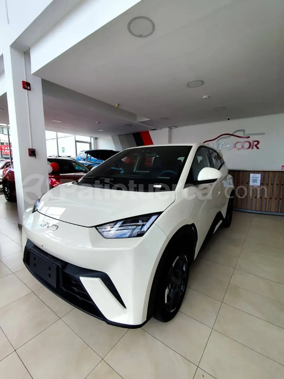 Foto 3 de BYD Seagull