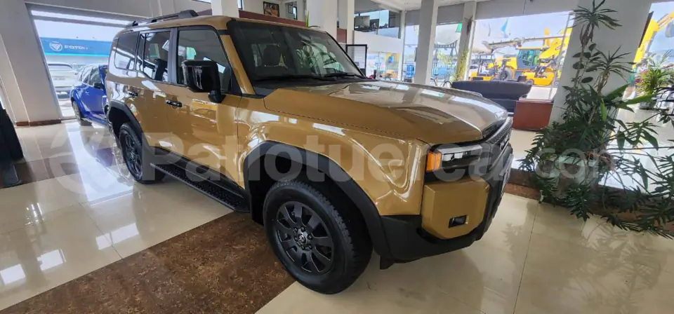 Foto 1 de Toyota Land Cruiser Prado