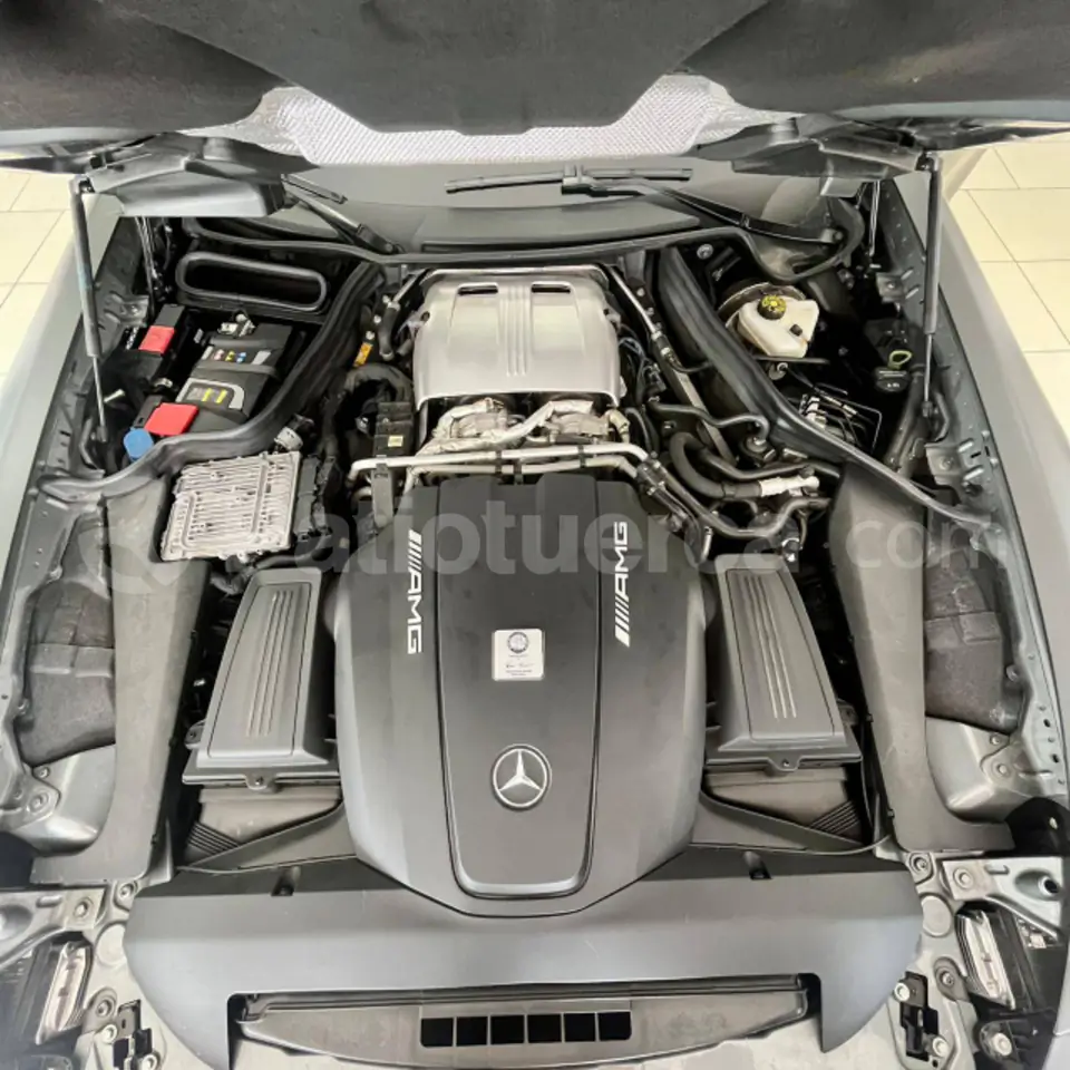 Foto 19 de Mercedes Benz AMG GT