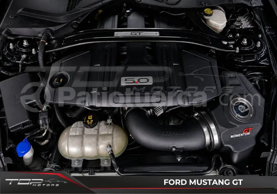Foto 21 de Ford Mustang GT