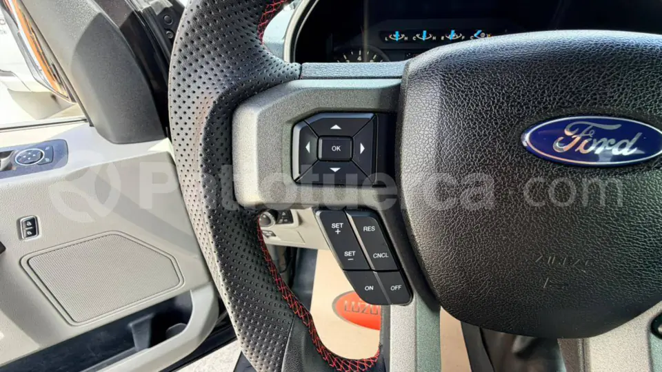 Foto 26 de Ford F150 CS 4x4