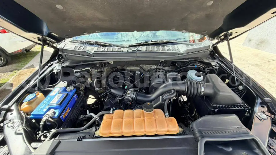 Foto 29 de Ford F150 CS 4x4